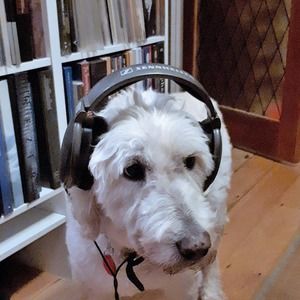 Meet your Posher, Cliff